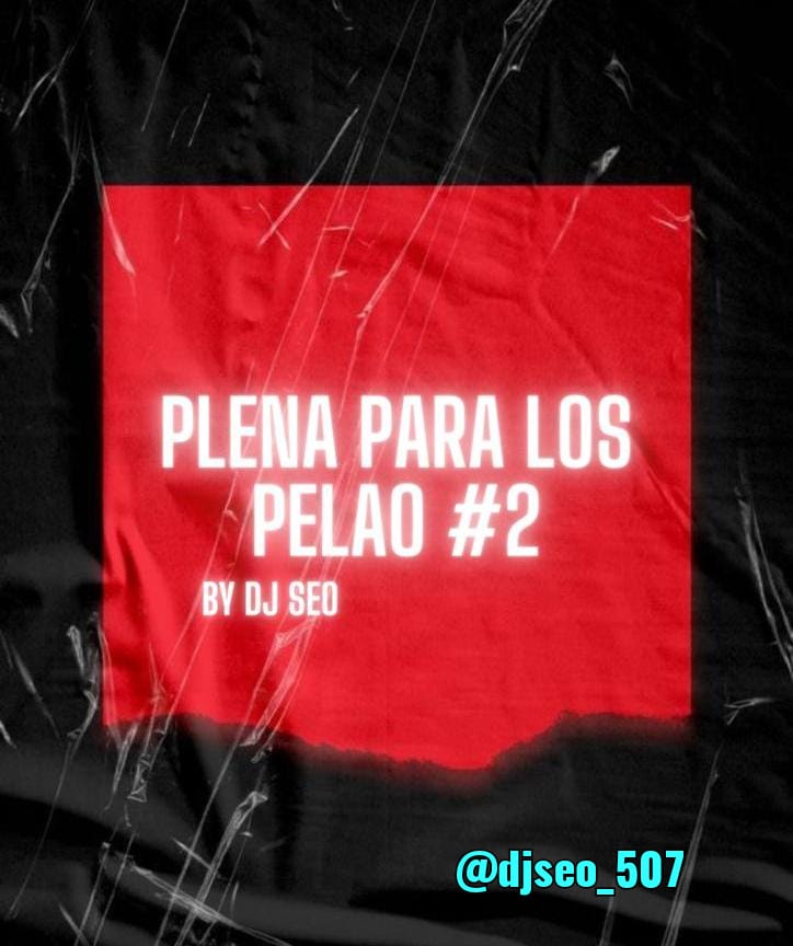 Plena Para Los Pelao #2 Mixtape 2k23 DJSeo